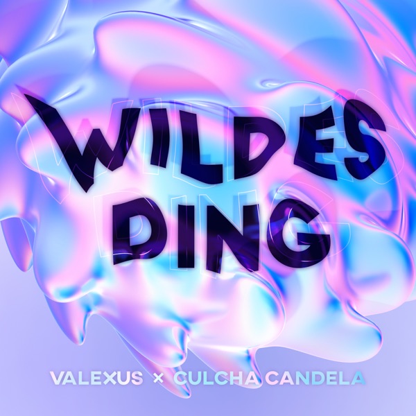 WILDES DING - Single album cover
