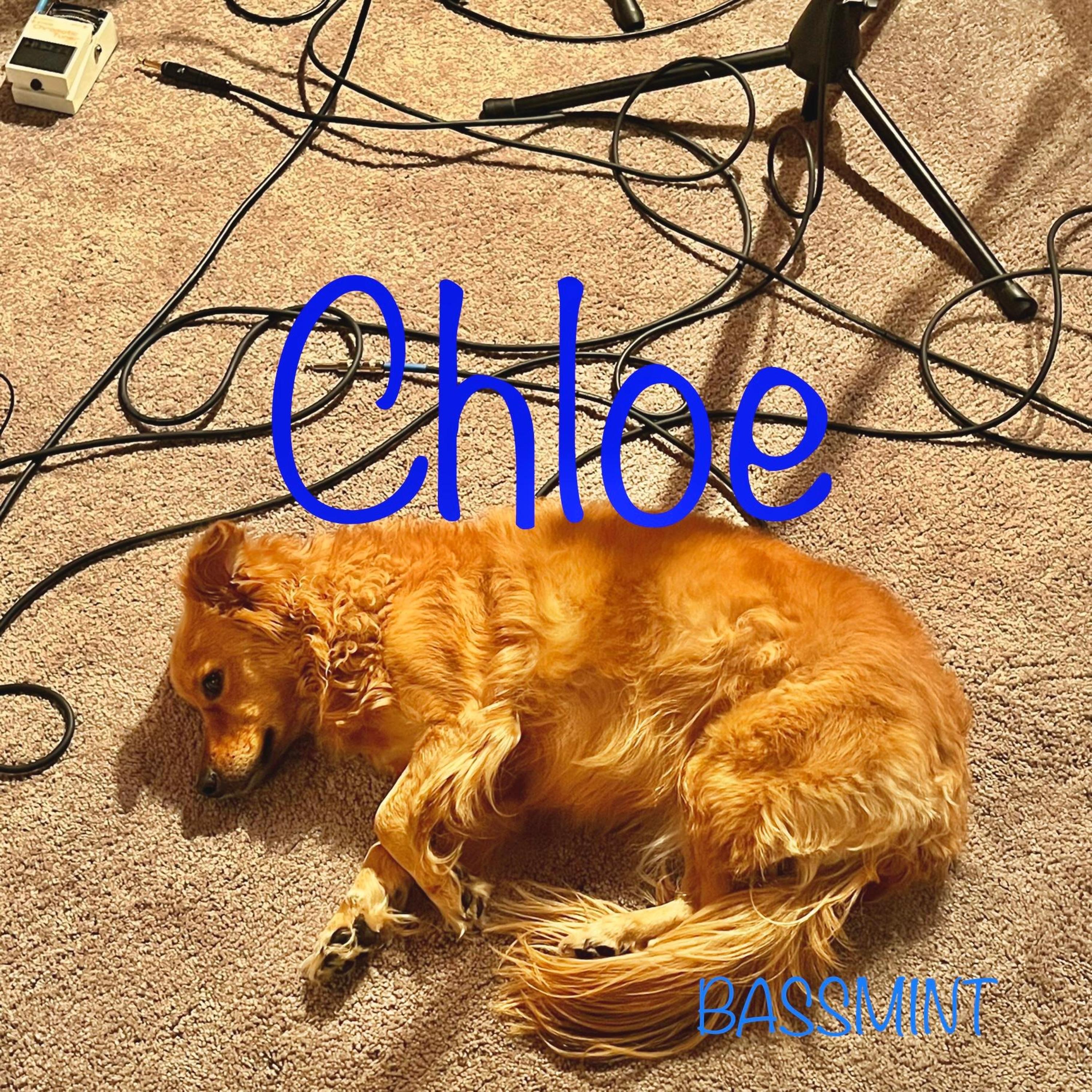 Basement - Single album cover