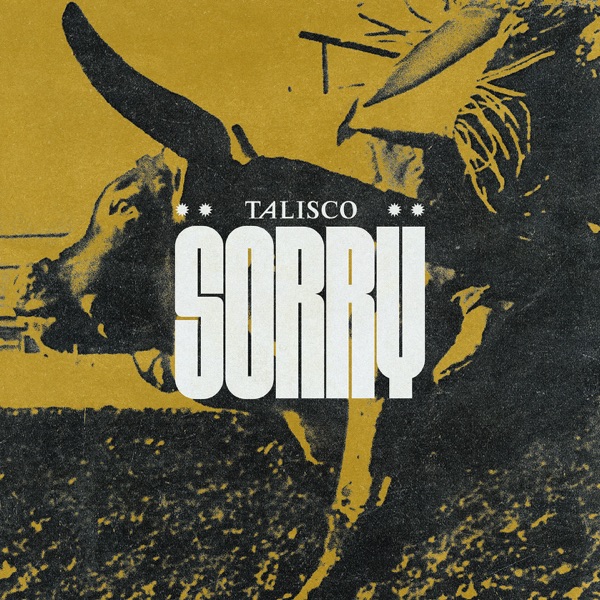 Sorry - Single album cover