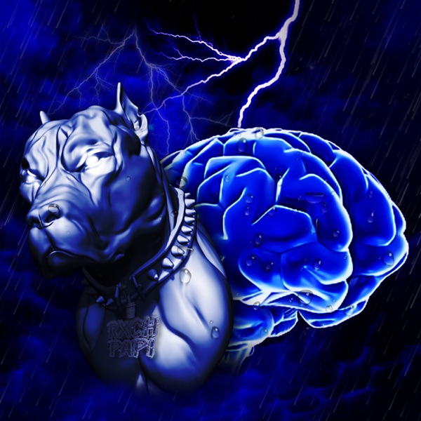 Dawg Storm album cover