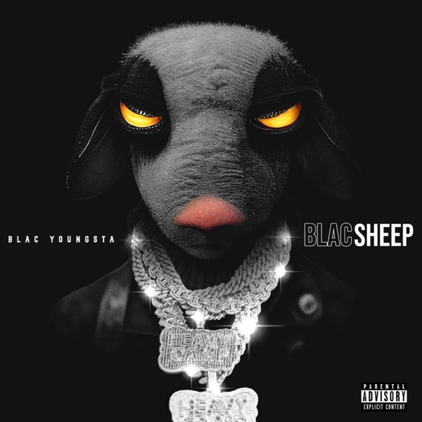 Blac Sheep album cover