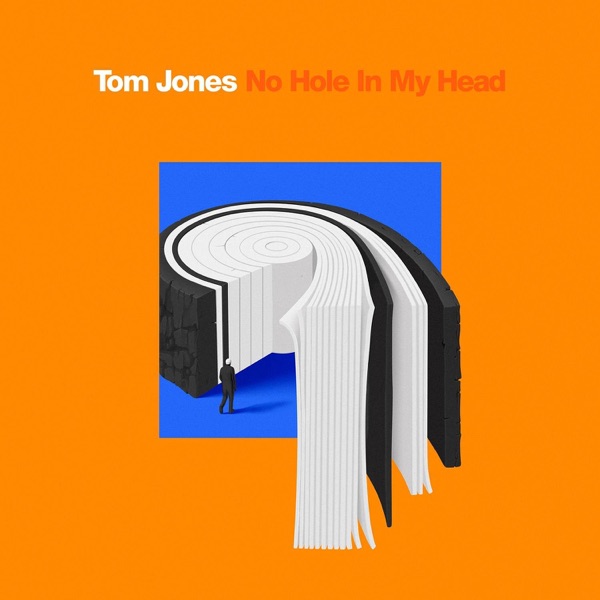 No Hole In My Head - Single album cover