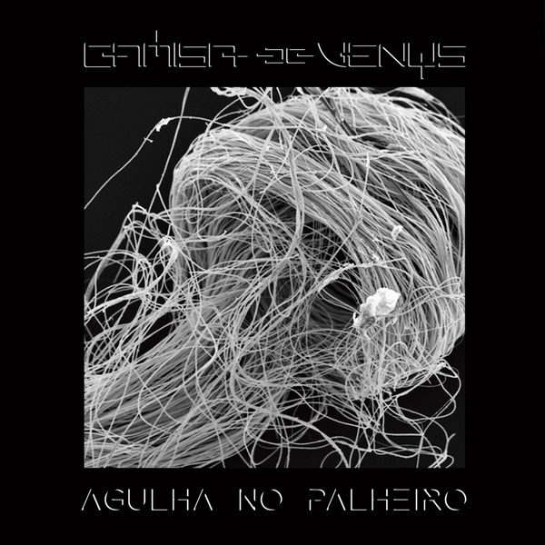 Agulha no Palheiro album cover
