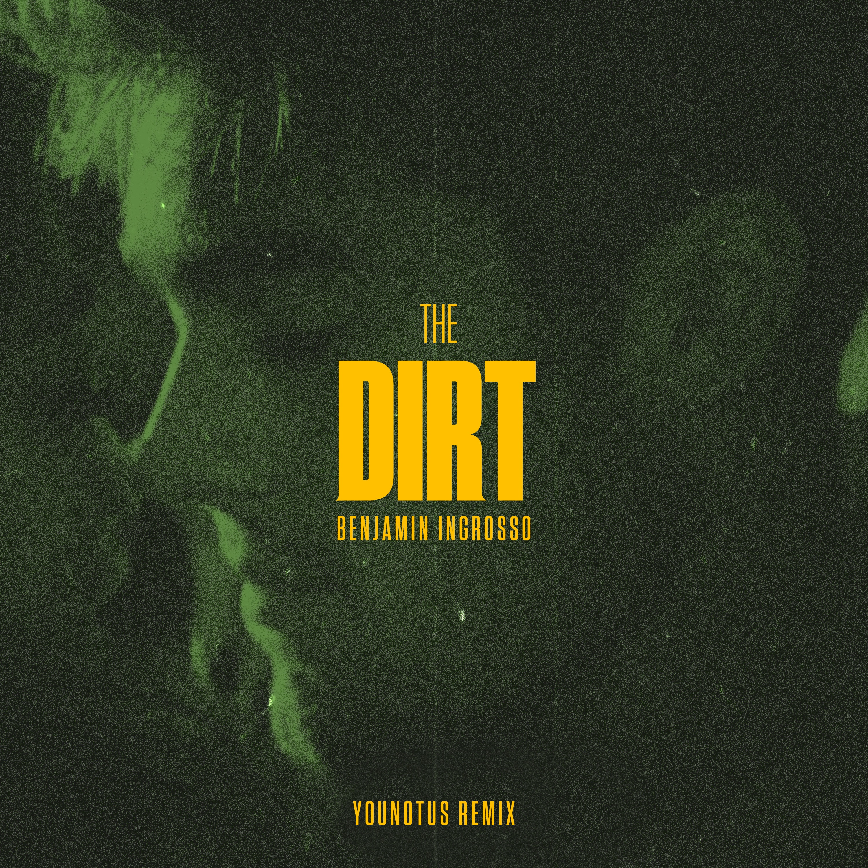 The Dirt (Younotus Remix) - Single album cover