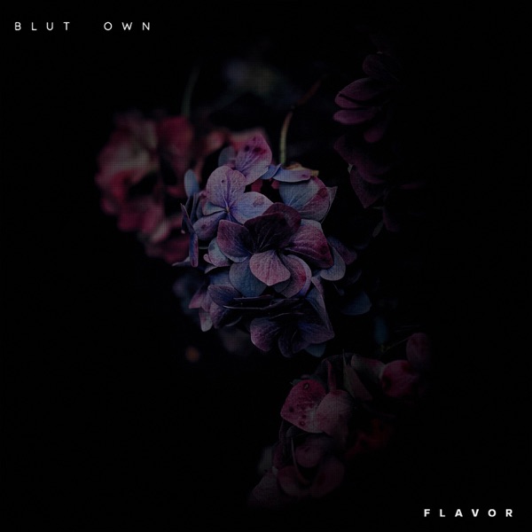 Flavor - EP album cover