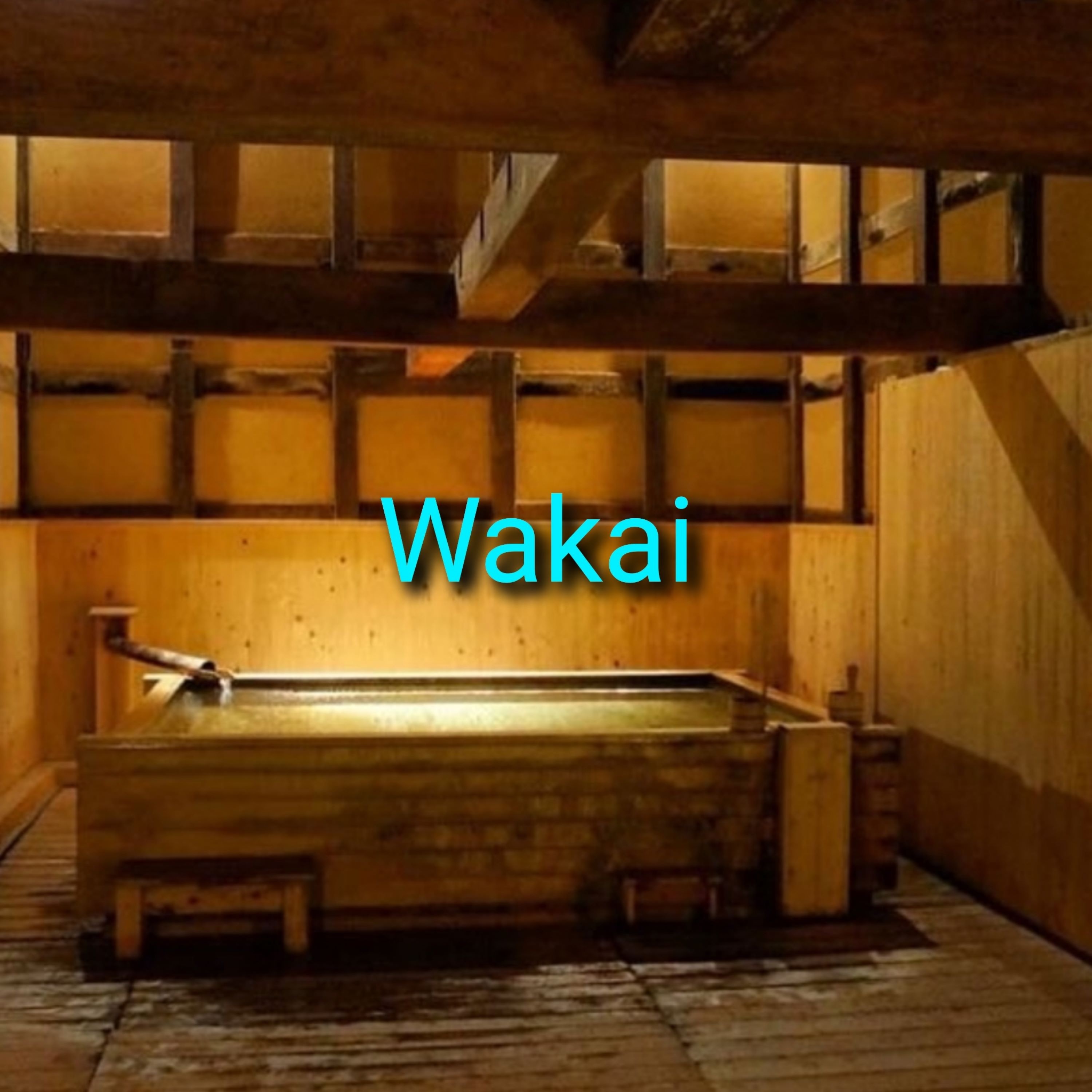 Wakai album cover