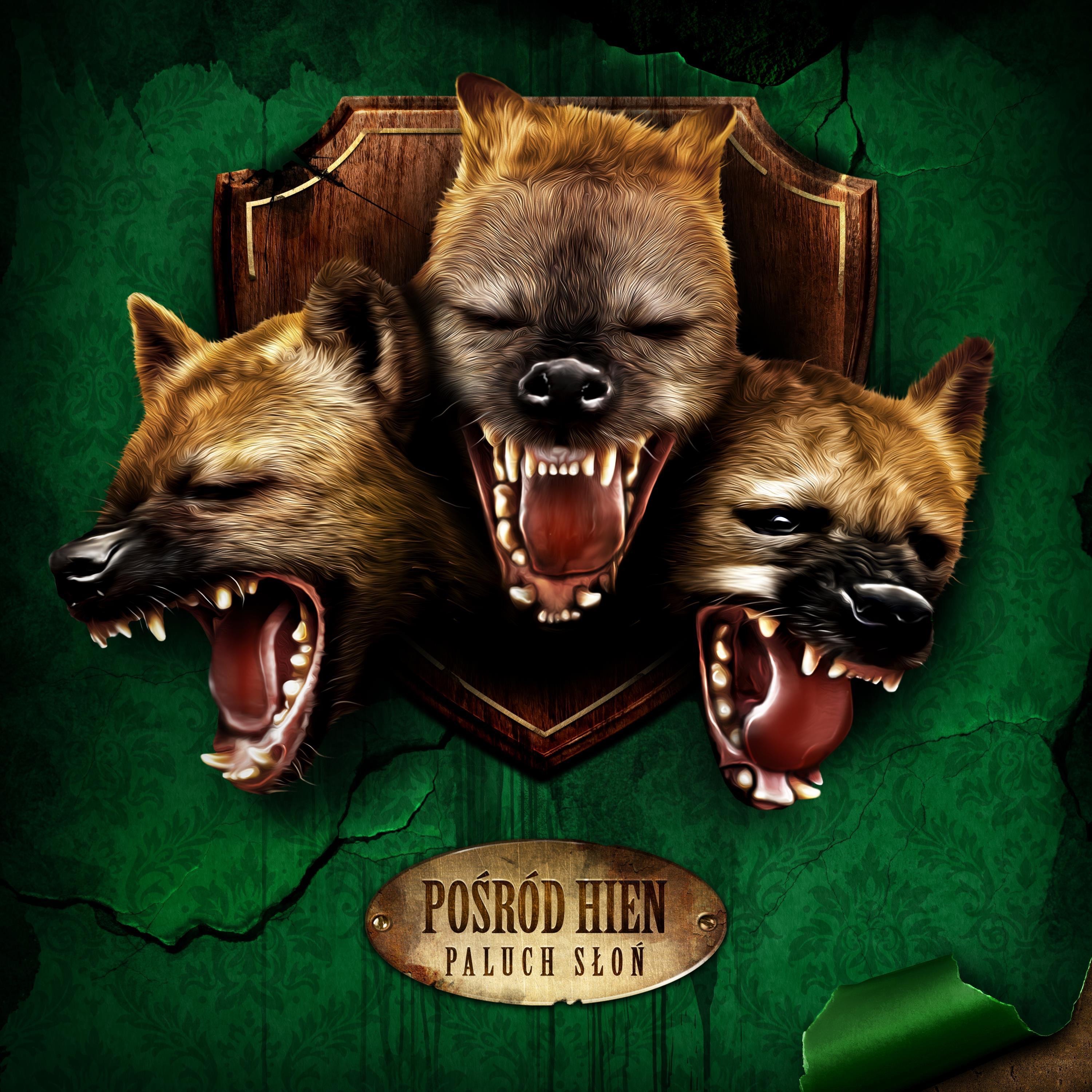 Pośród Hien album cover