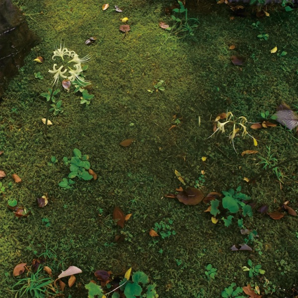 Summer Chronicles album cover