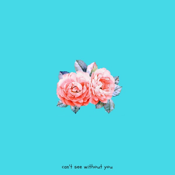 Can't See Without You (feat. Aspen Dawn) - Single album cover