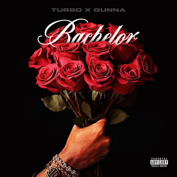 Bachelor - Single album cover