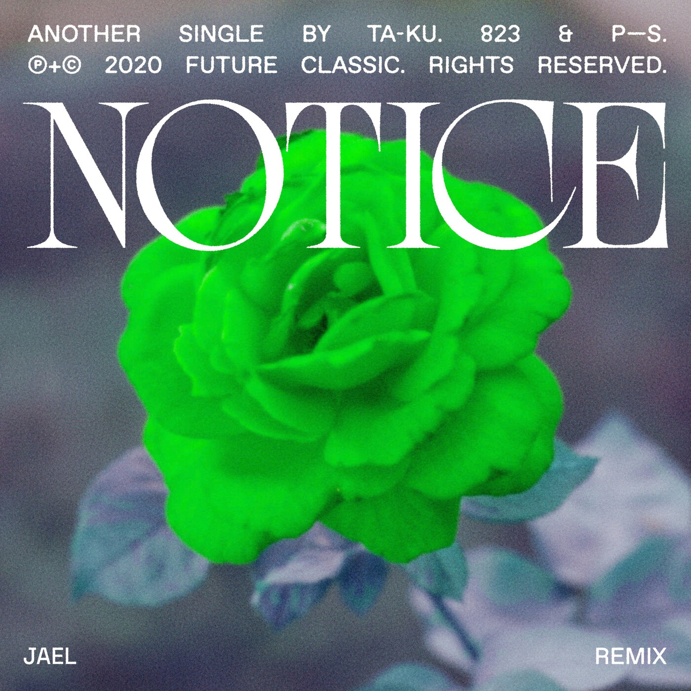 Notice (JAEL Remix) - Single album cover