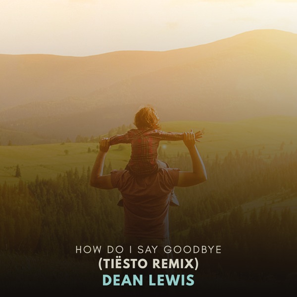 How Do I Say Goodbye (Tiësto Remix) - Single album cover