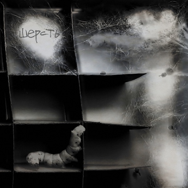 Шерсть album cover