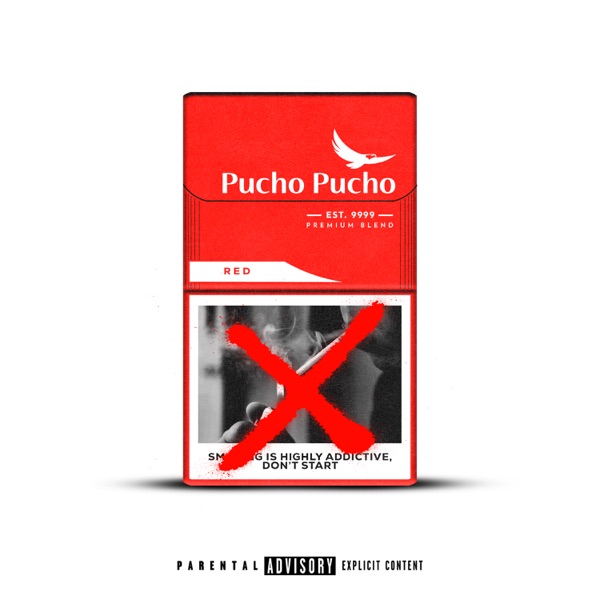Pucho - Pucho - Single album cover