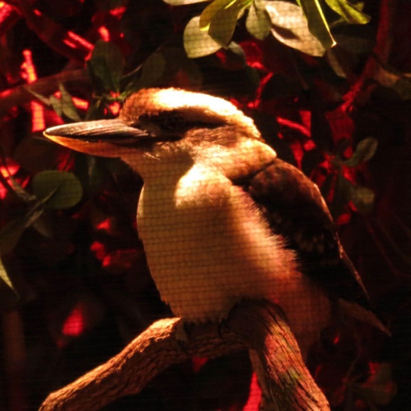 Sex For Breakfast - Single album cover