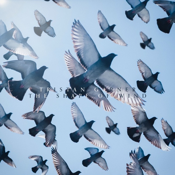 The Shape of Wind album cover