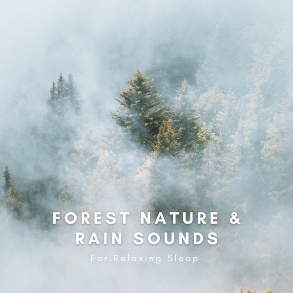Forest Nature & Rain Sounds album cover