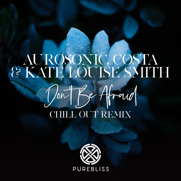 Don't Be Afraid (Chill out Remix) - Single album cover