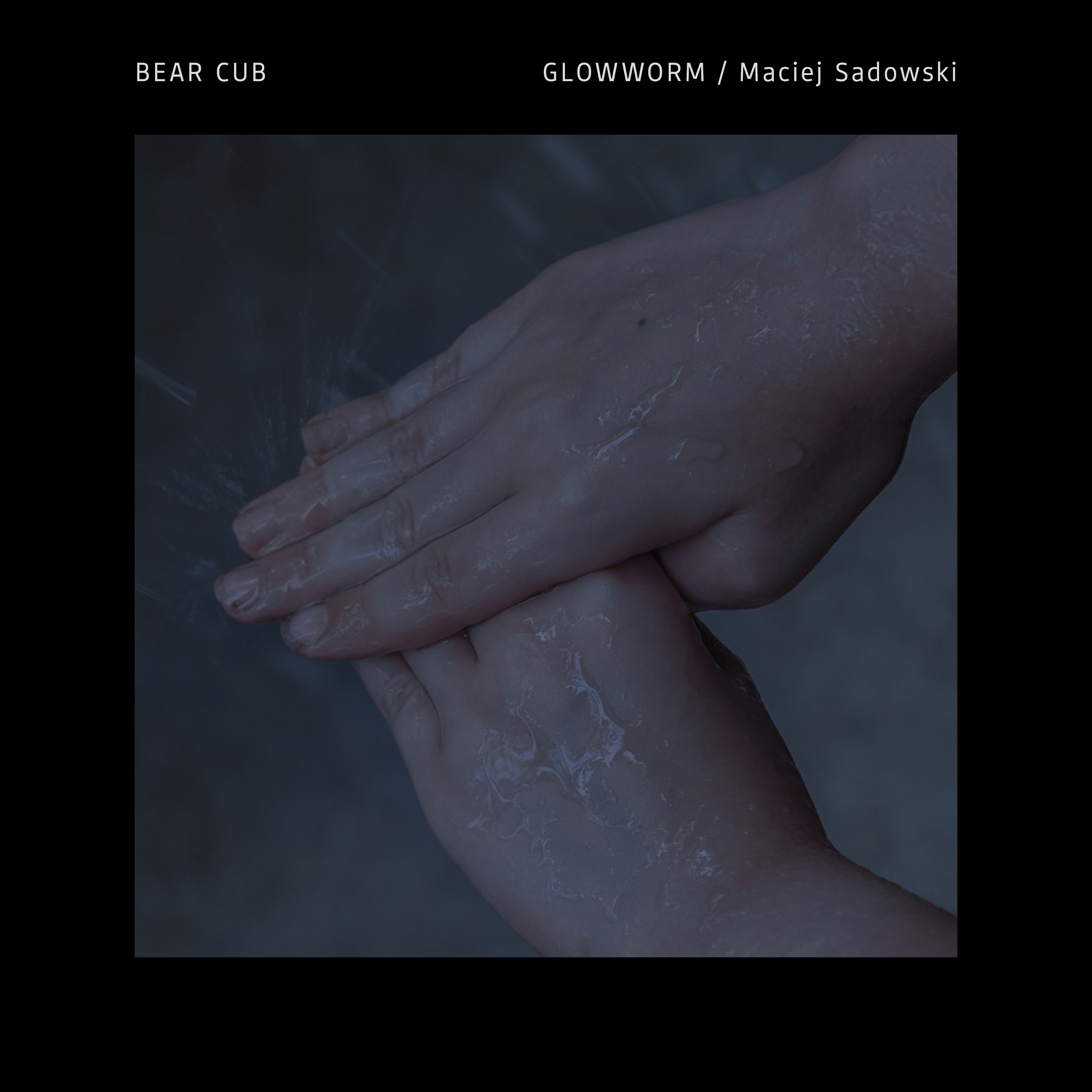 Bear Cub - Single album cover