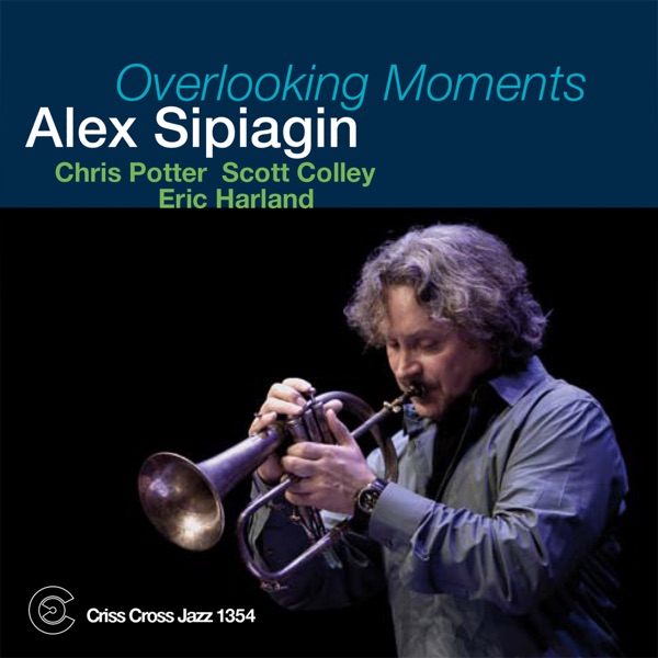 Overlooking Moments (feat. Chris Potter, Scott Colley & Eric Harland) album cover