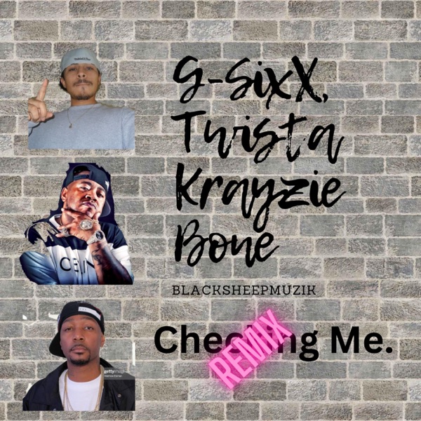 CHECKING ME (feat. Twista) [Krayzie Bone Remix] - Single album cover