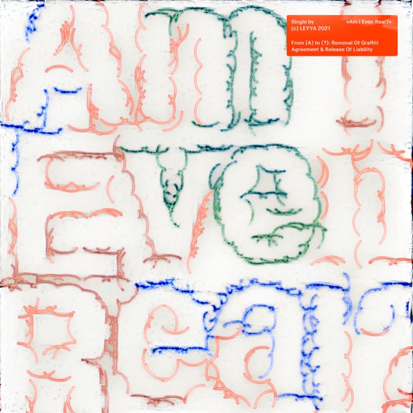 Am I Even Real? - Single album cover