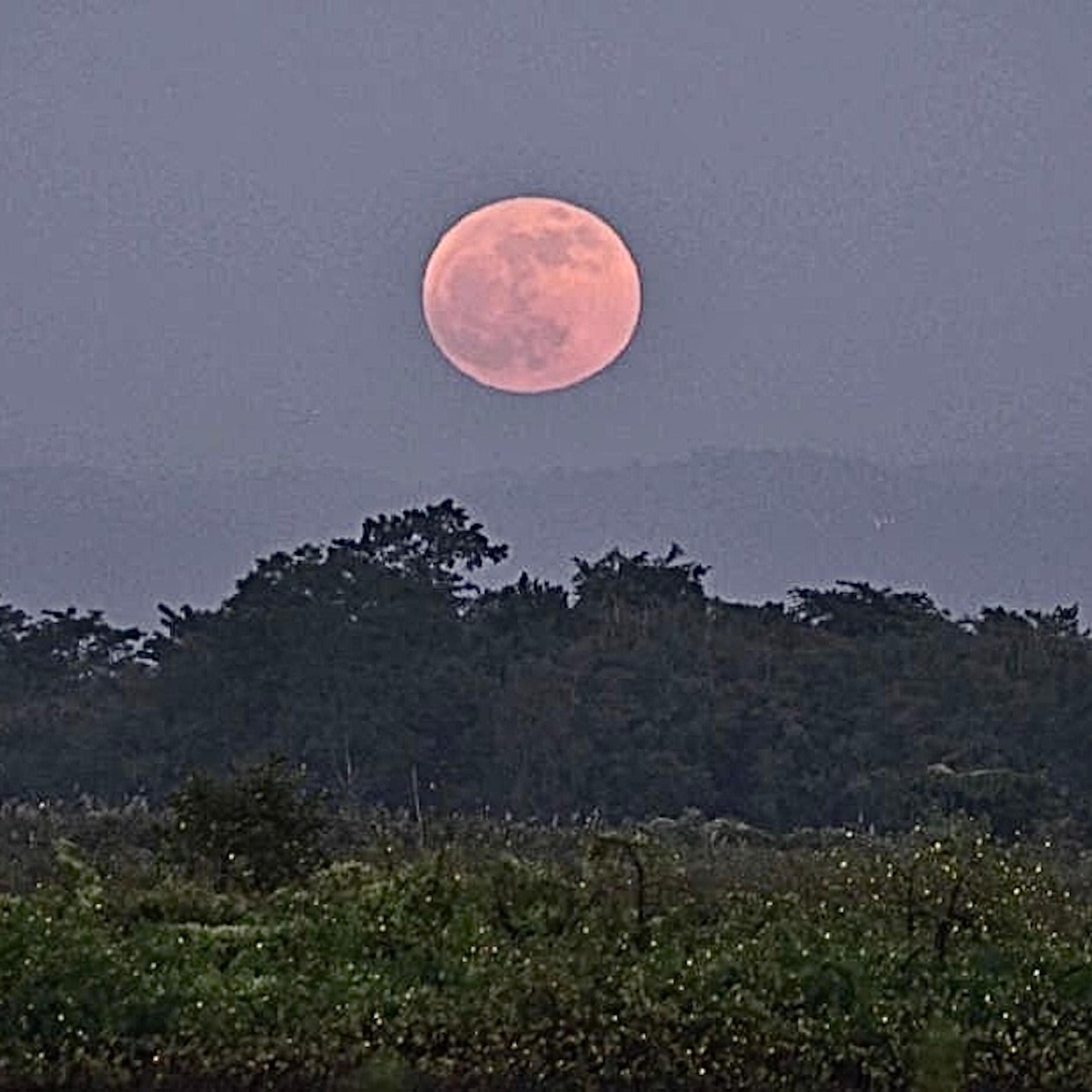 Under the Moon - Single album cover