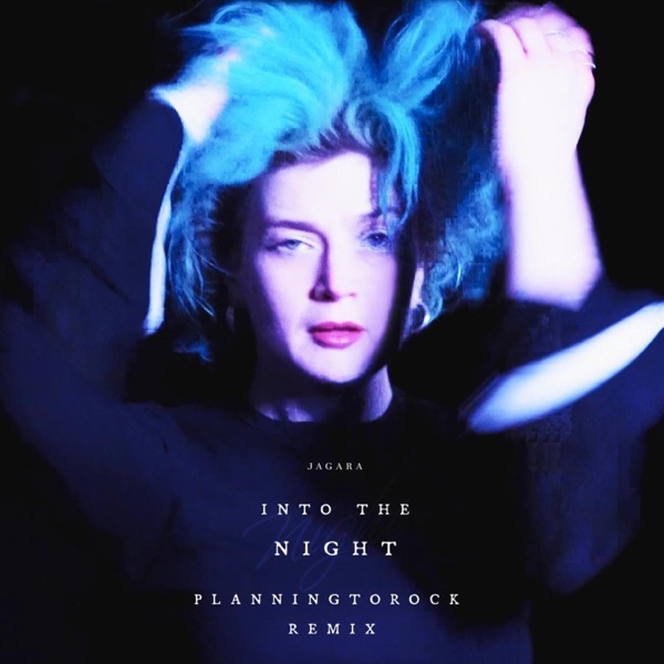 Into the Night (Planningtorock's 'Planningintothenight' Version) (feat. Planningtorock) - Single album cover