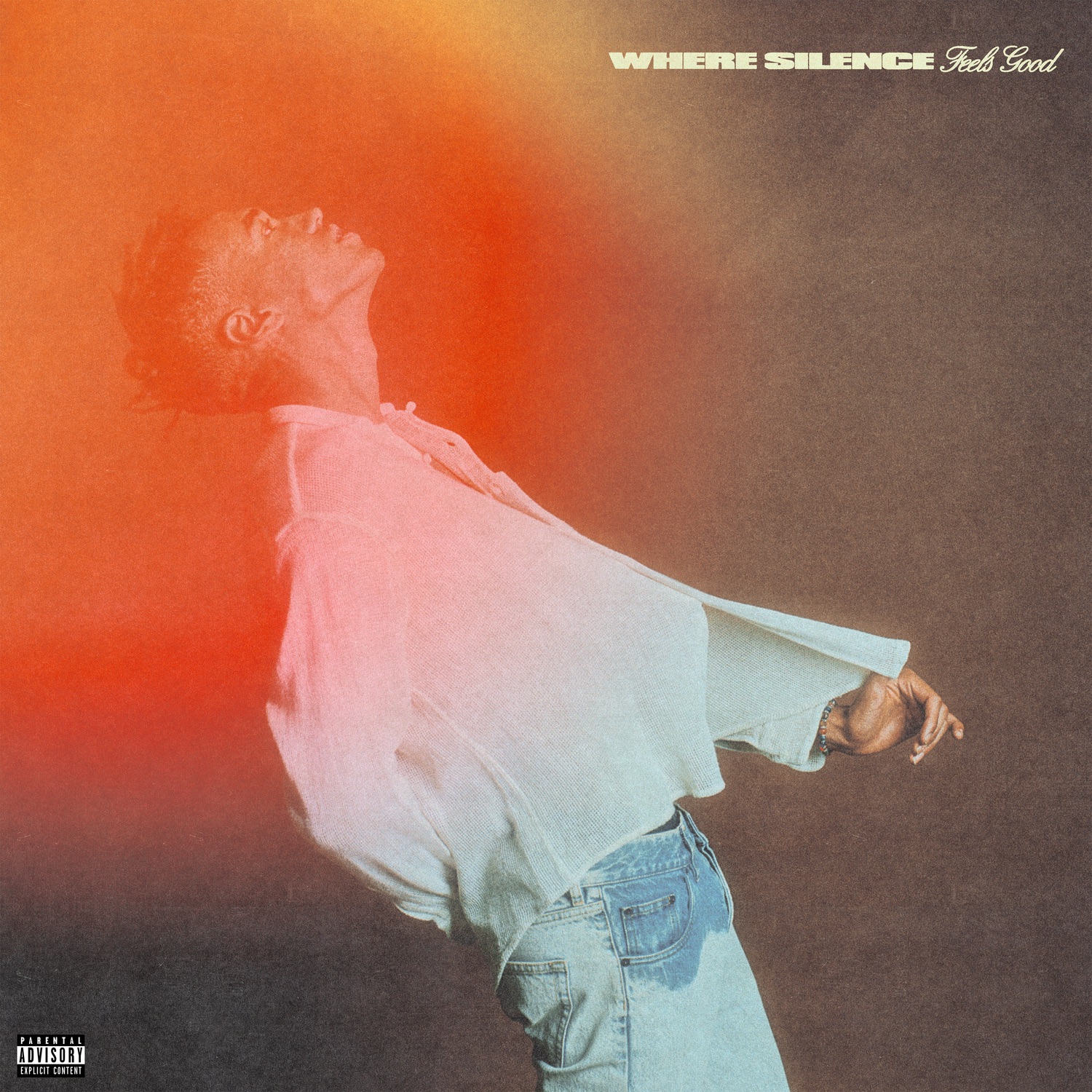 Where Silence Feels Good album cover