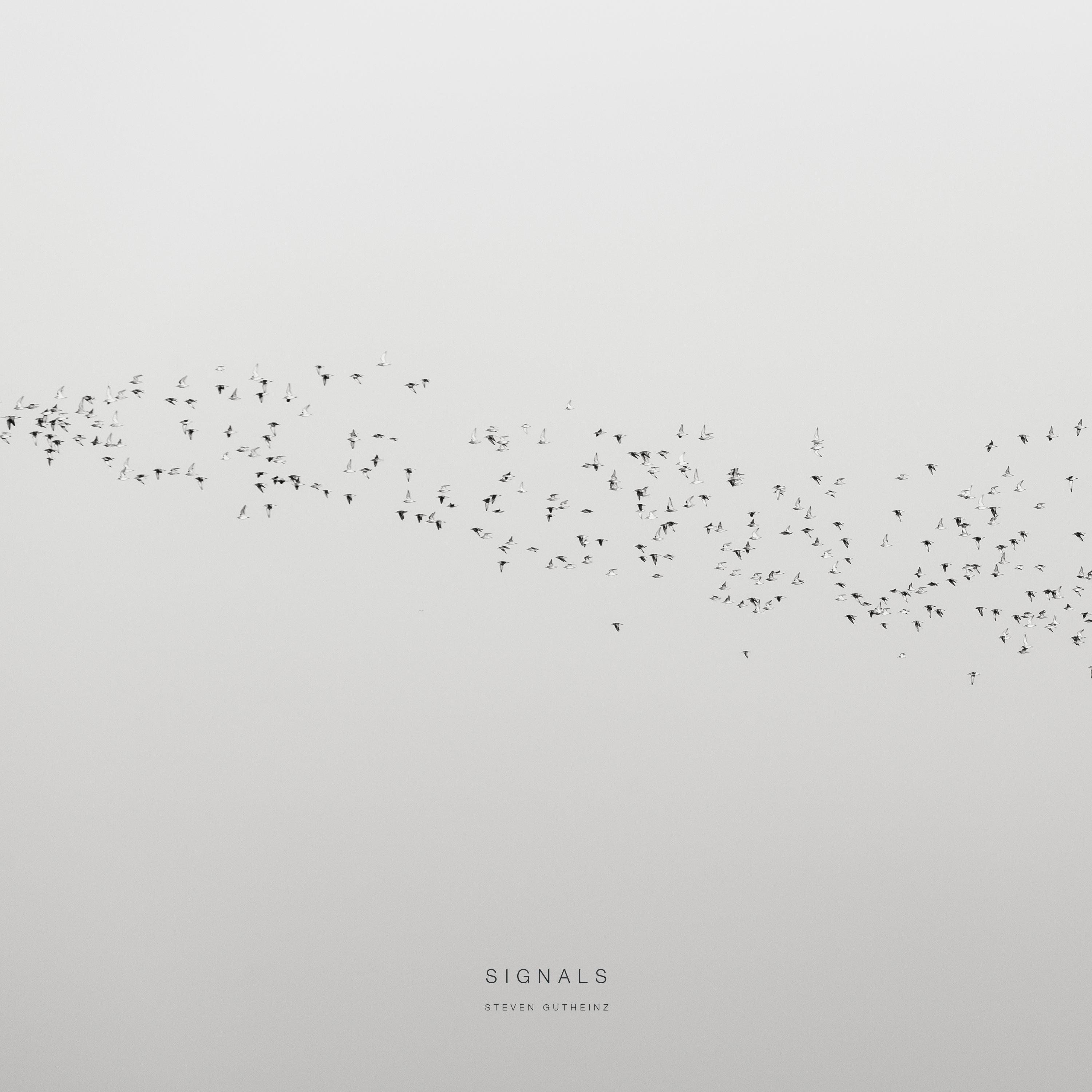 Signals - EP album cover
