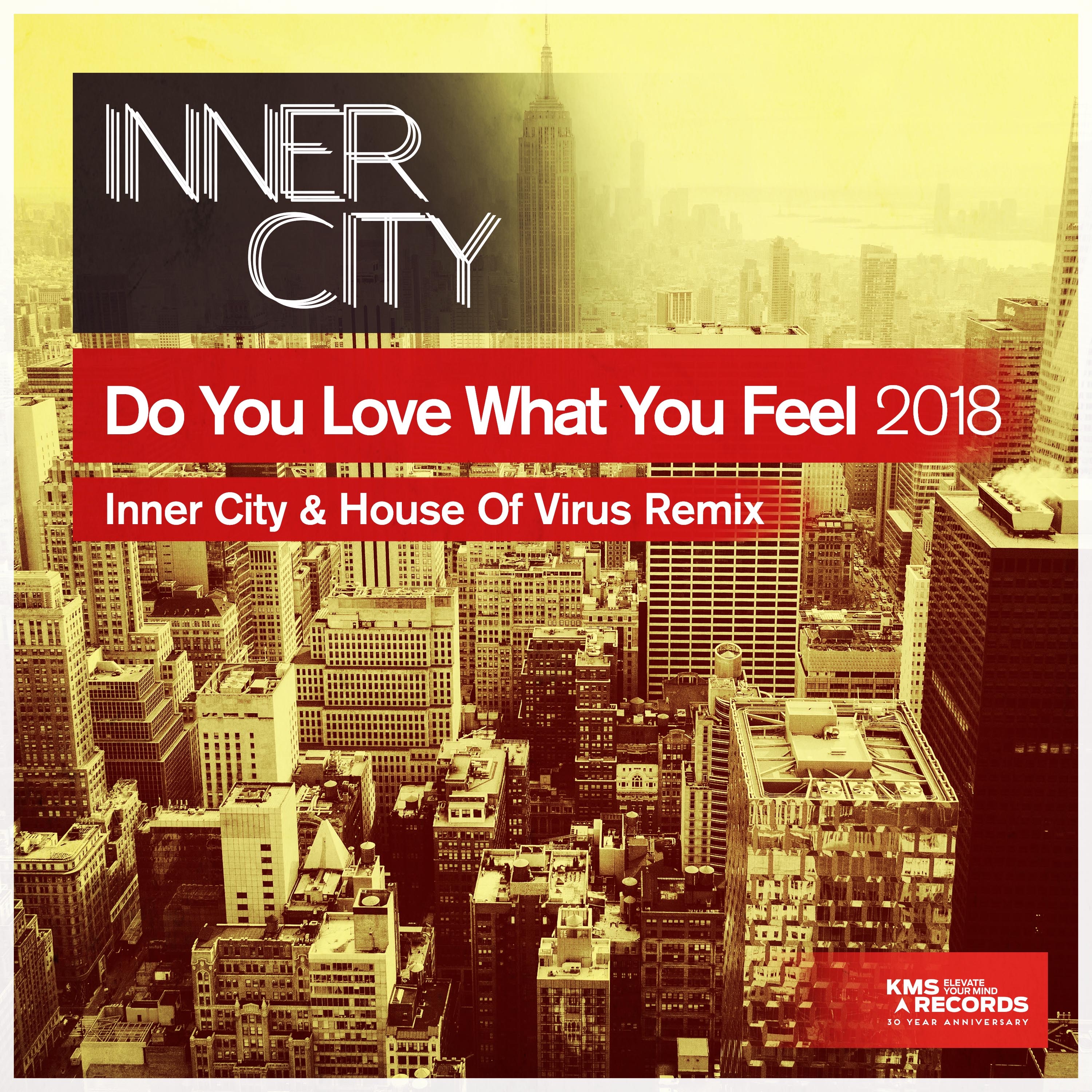 Do You Love What You Feel 2018 (Inner City & House of Virus Remix) - EP album cover