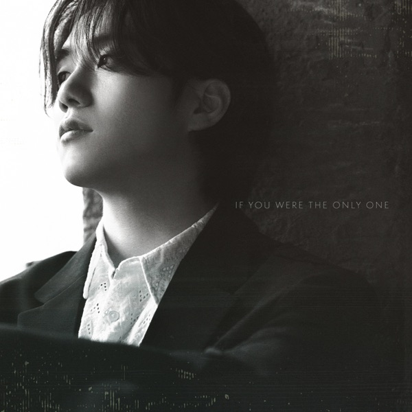 If you were the only one - Single album cover