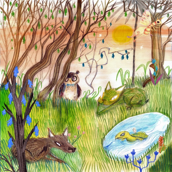 Animal Kingdom album cover