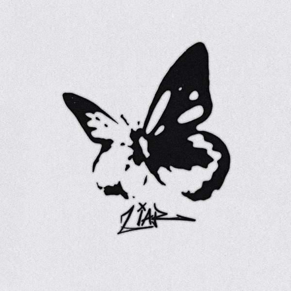 Liar - Single album cover