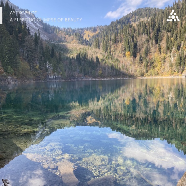 A Fleeting Glimpse of Beauty album cover