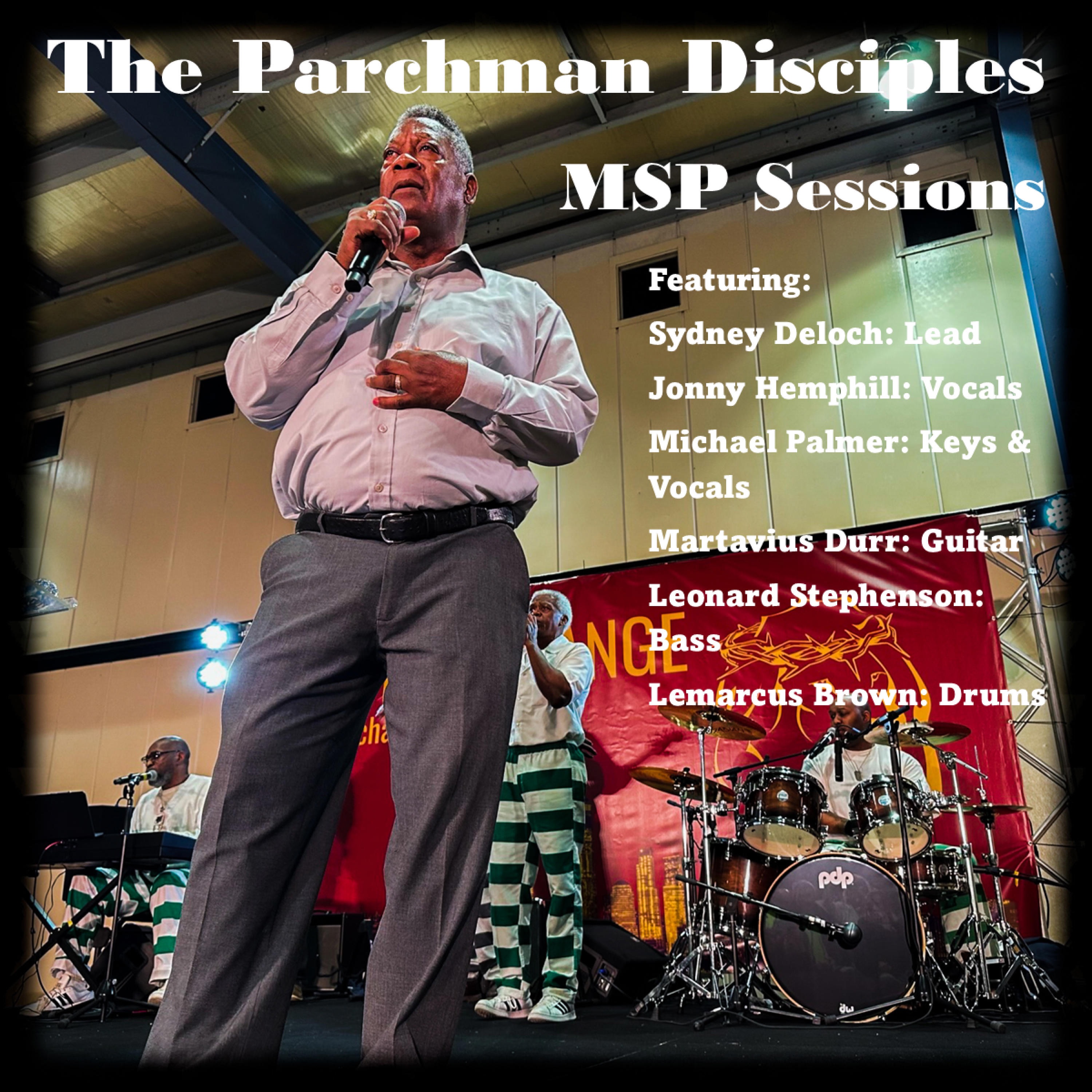 MSP Sessions (feat. Lemarcus Brown, Michael Palmer & Leonard Stephenson) album cover