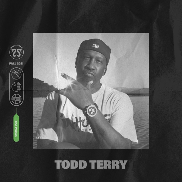 Todd Terry at CRSSD Festival 2021: The Palms (DJ Mix) album cover