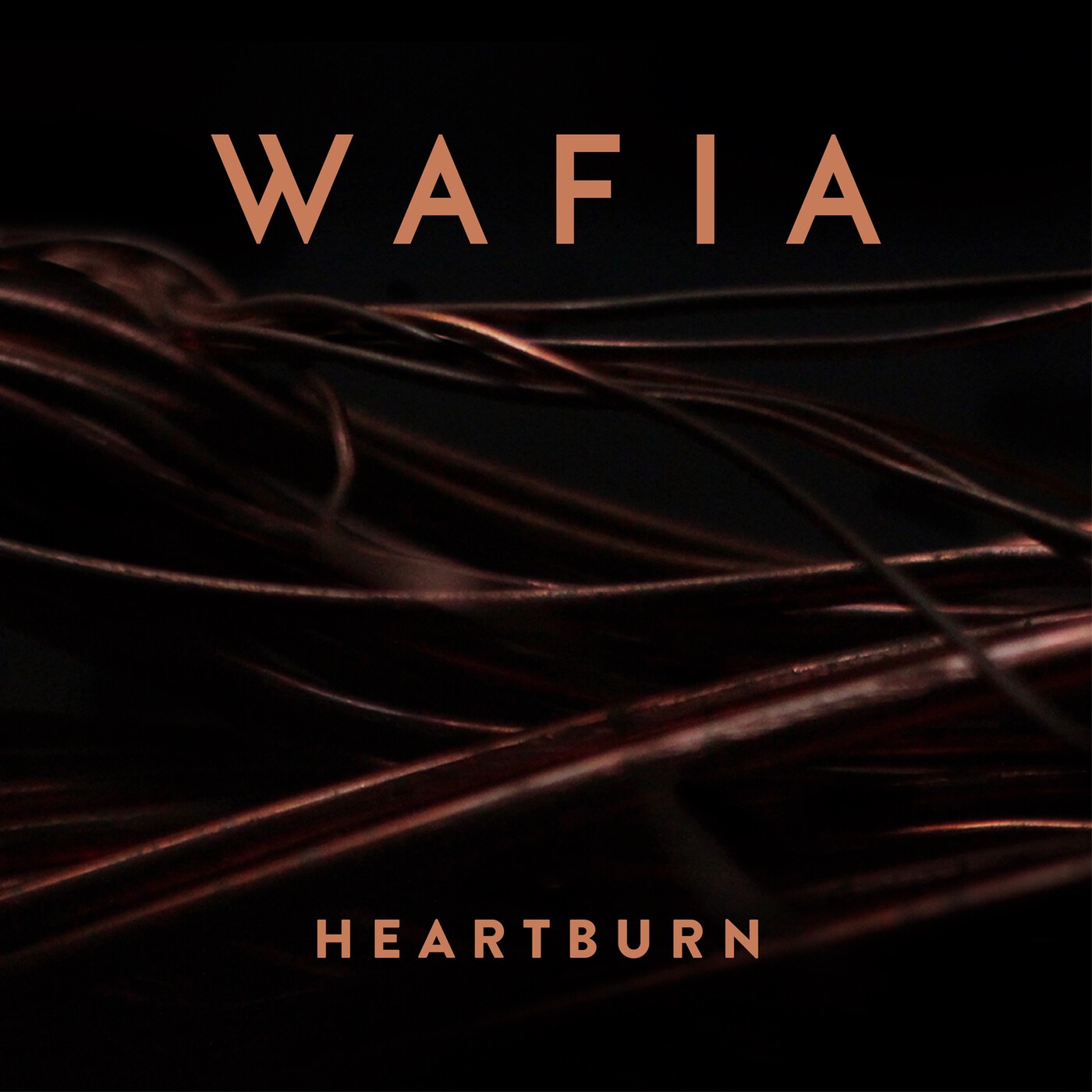 Heartburn (Remixes) - Single album cover