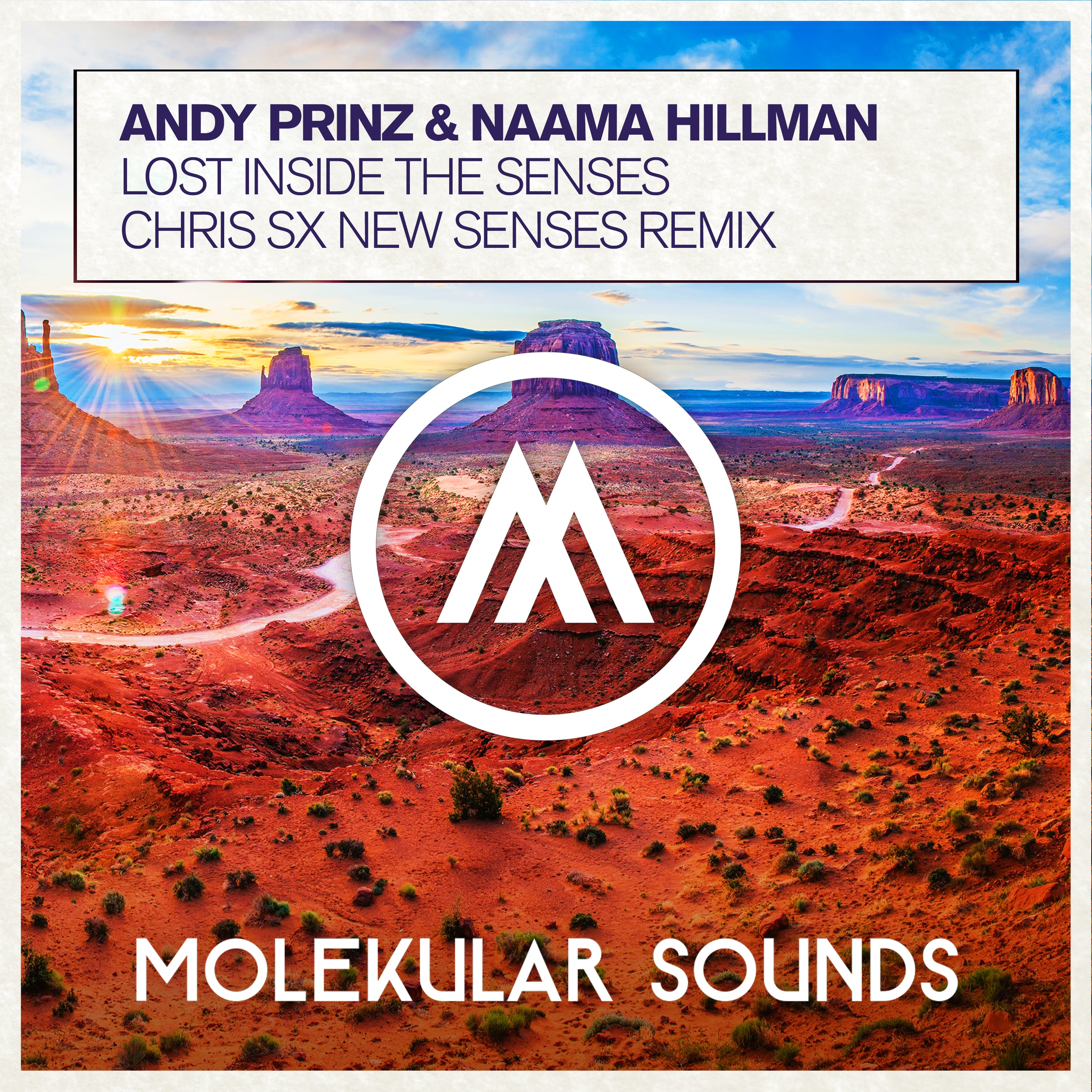 Lost Inside the Senses (Chris Sx New Senses Remix) - Single album cover