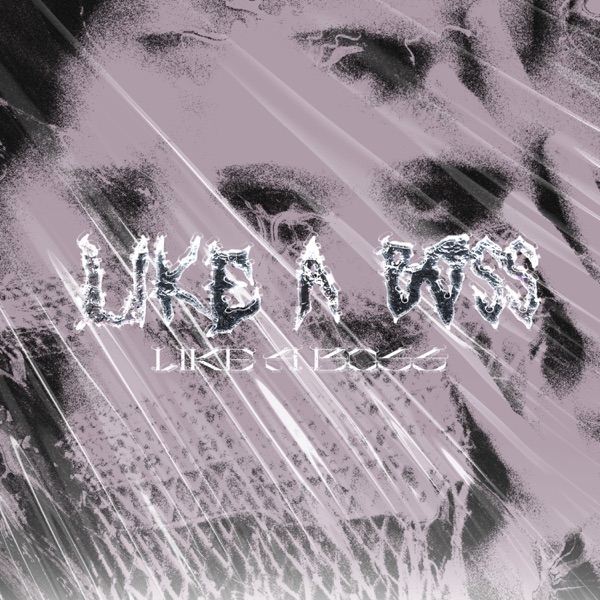 Like a Boss - Single album cover