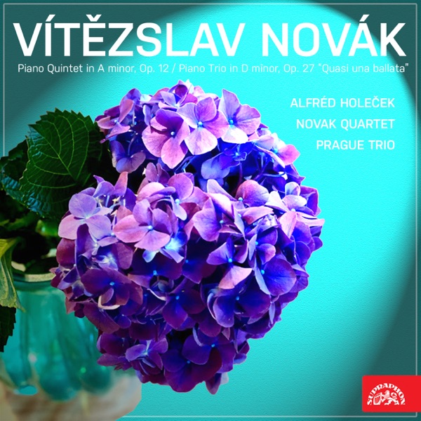 Novák: Piano Quintet in A minor, Op. 12, Piano Trio in D minor, Op. 27 "Quasi una Ballata" album cover