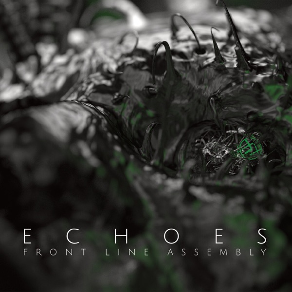 Echoes album cover