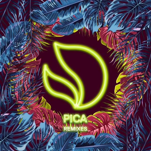 Pica (Cat Dealers Remix) - Single album cover