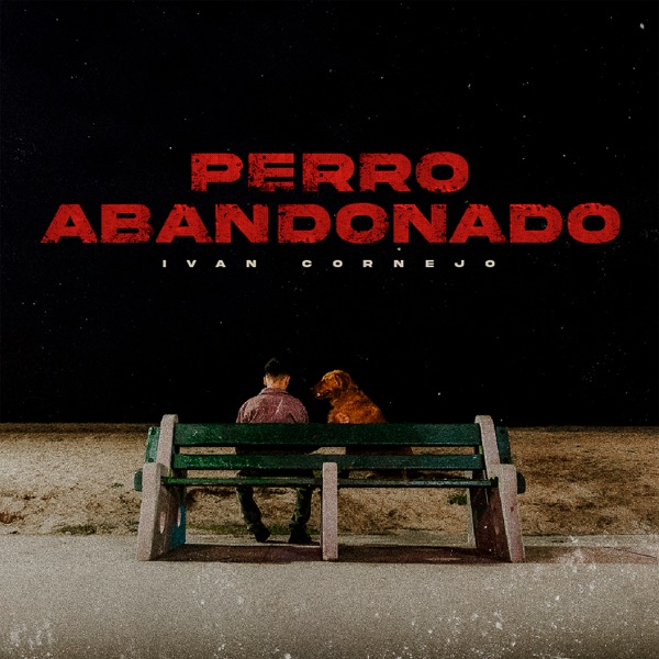 Perro Abandonado - Single album cover