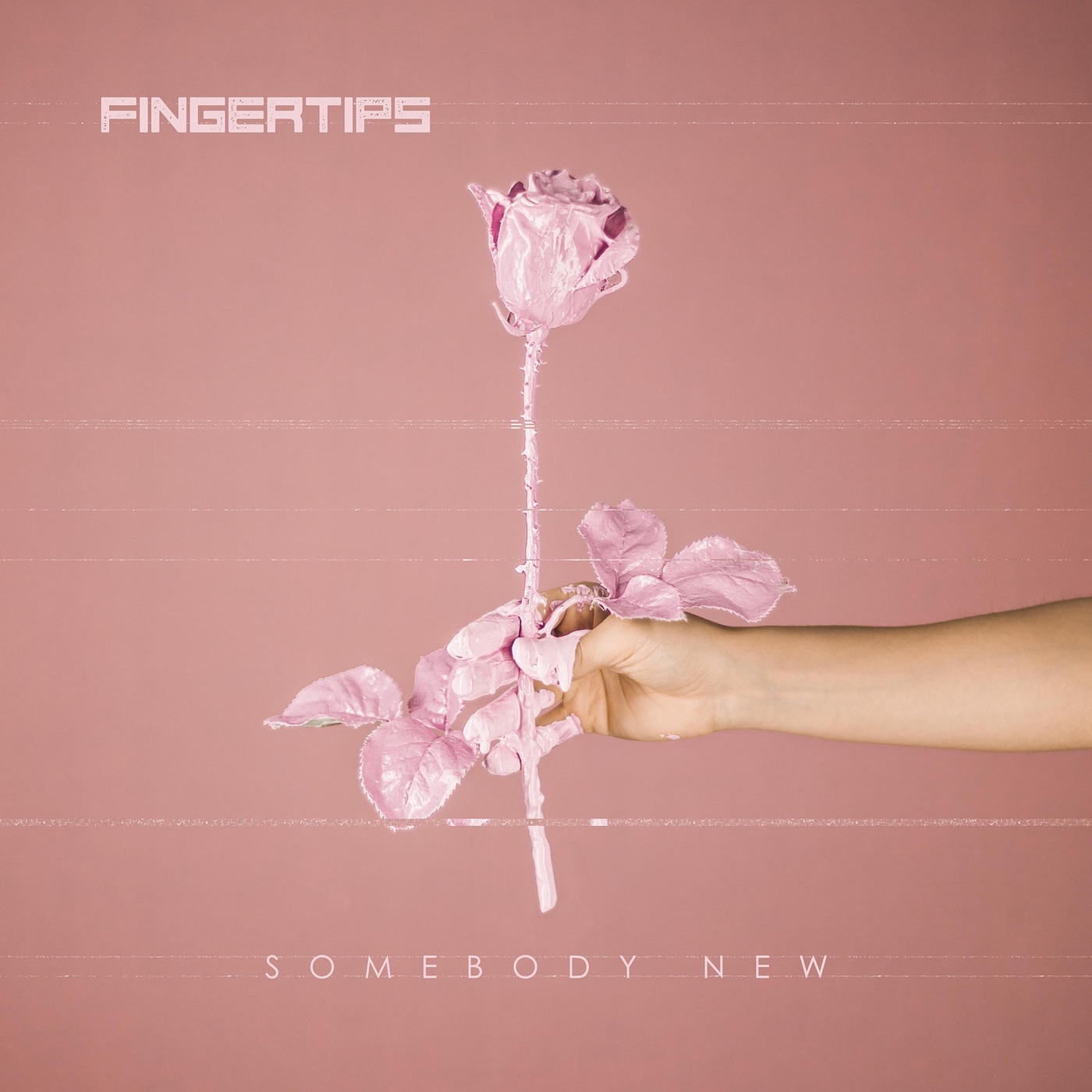 Somebody New - Single album cover