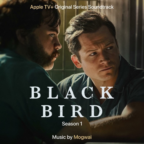 Black Bird album cover