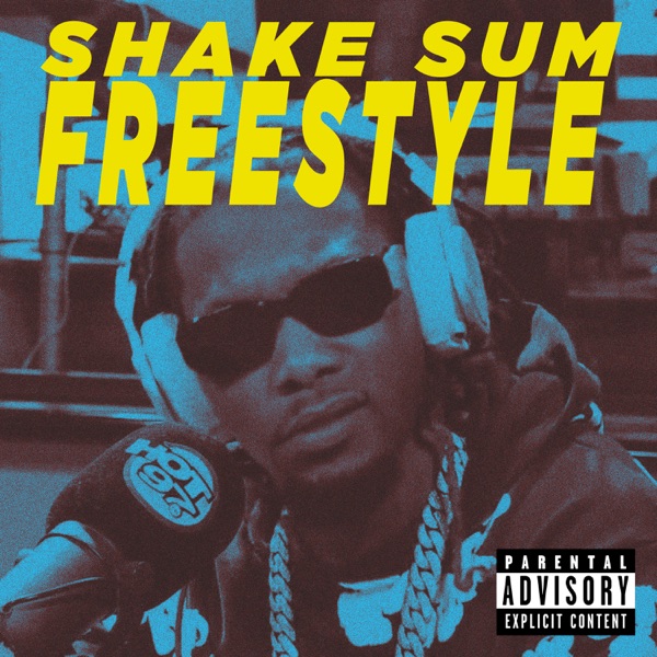 Shake Sum Freestyle - Single album cover