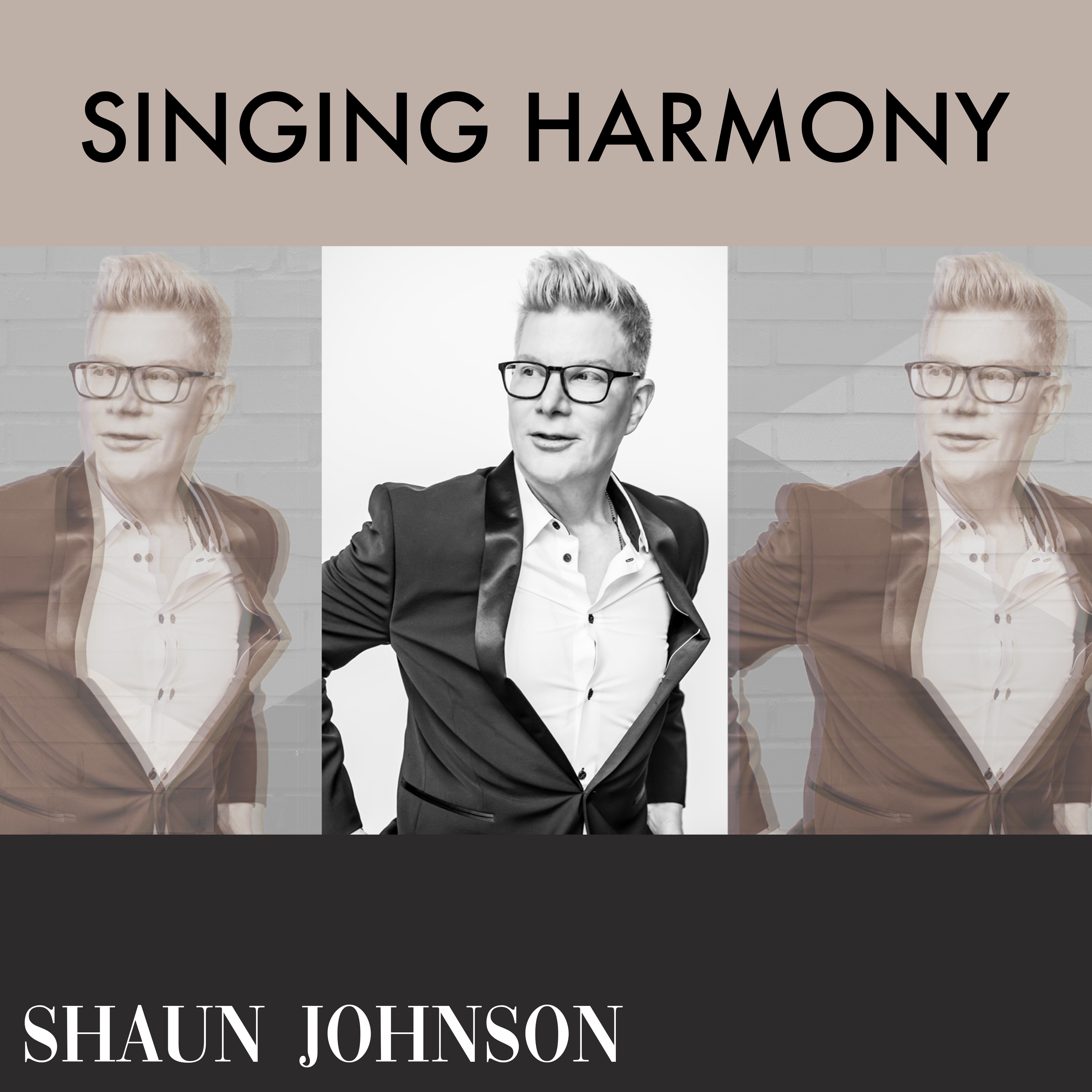 Singing Harmony (feat. Bryan White) - Single album cover