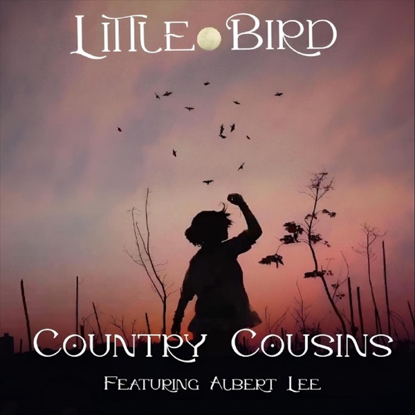 Little Bird (feat. Albert Lee) - Single album cover
