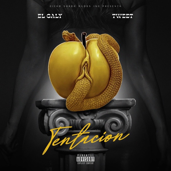 Tentacion (feat. Tweet) - Single album cover